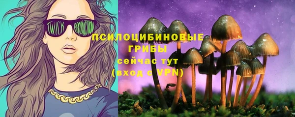 кокс Абаза