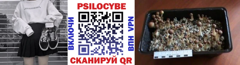 купить наркотики сайты  Россошь  Галлюциногенные грибы мухоморы 